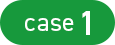 case1