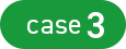 case3